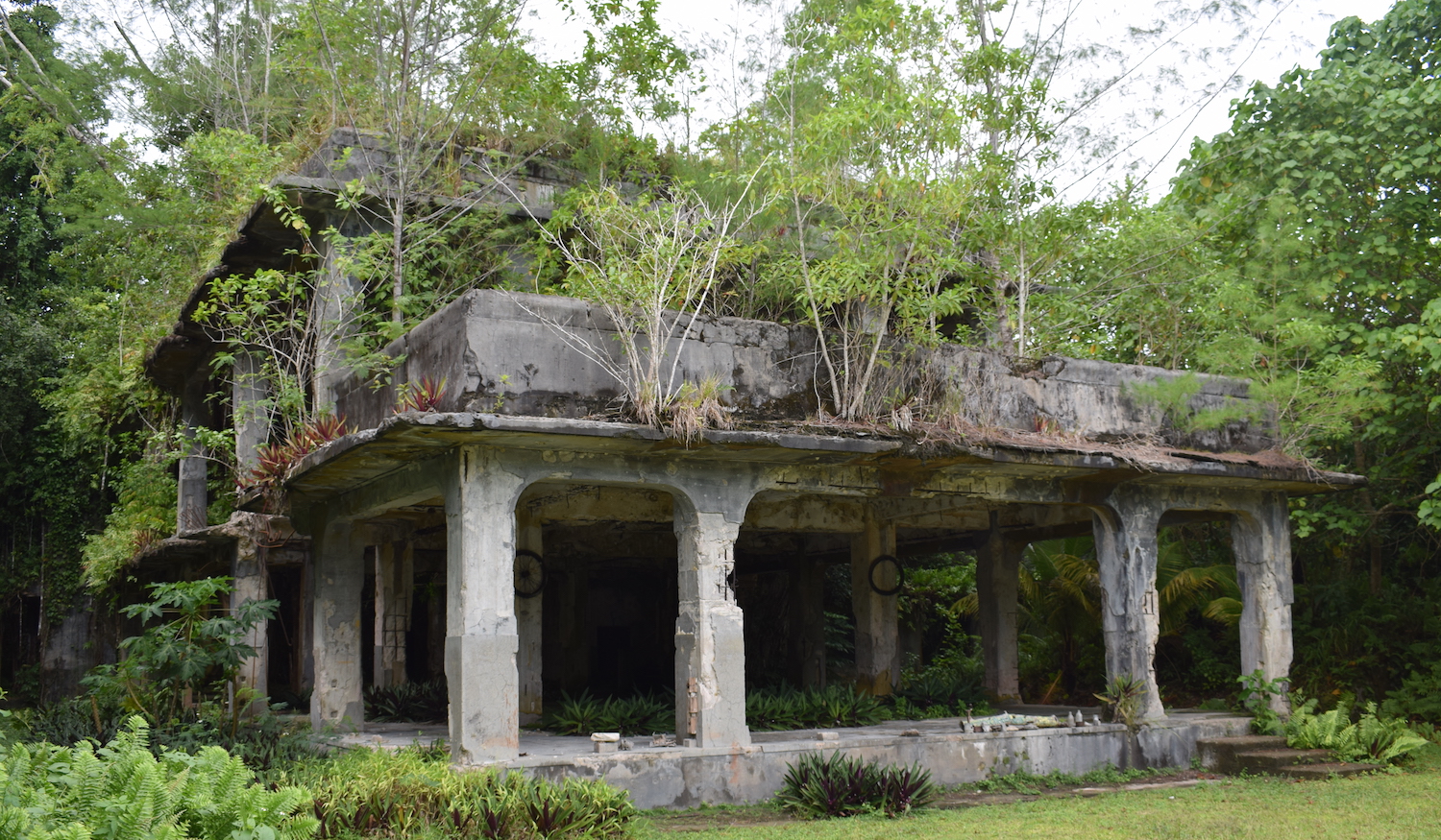Ruins of Japanese WW2 military HQ in Peleliu
