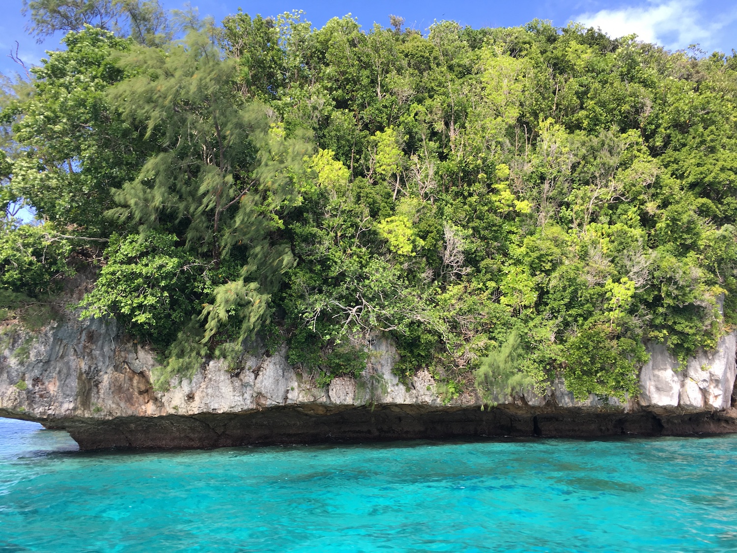 Close up of a Rock Island in Palau