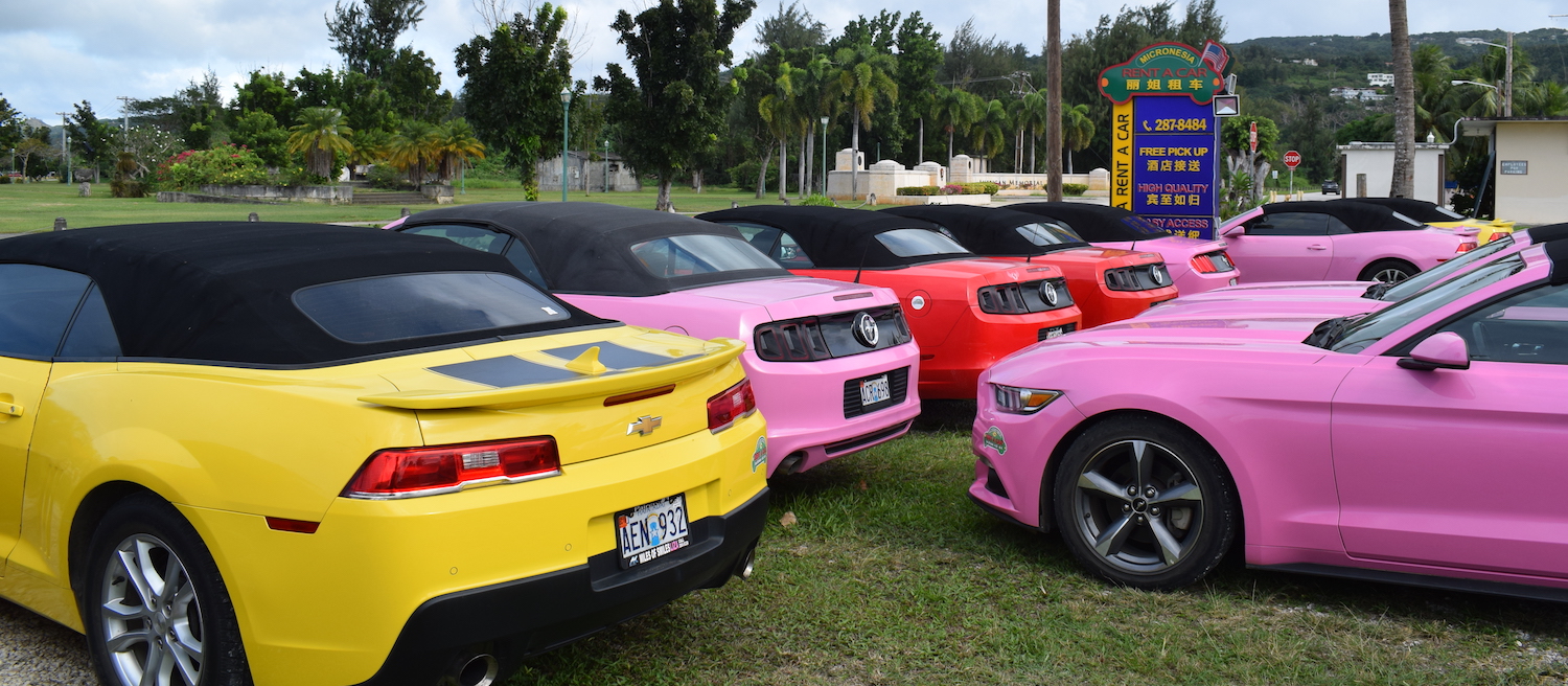Colourful mustangs