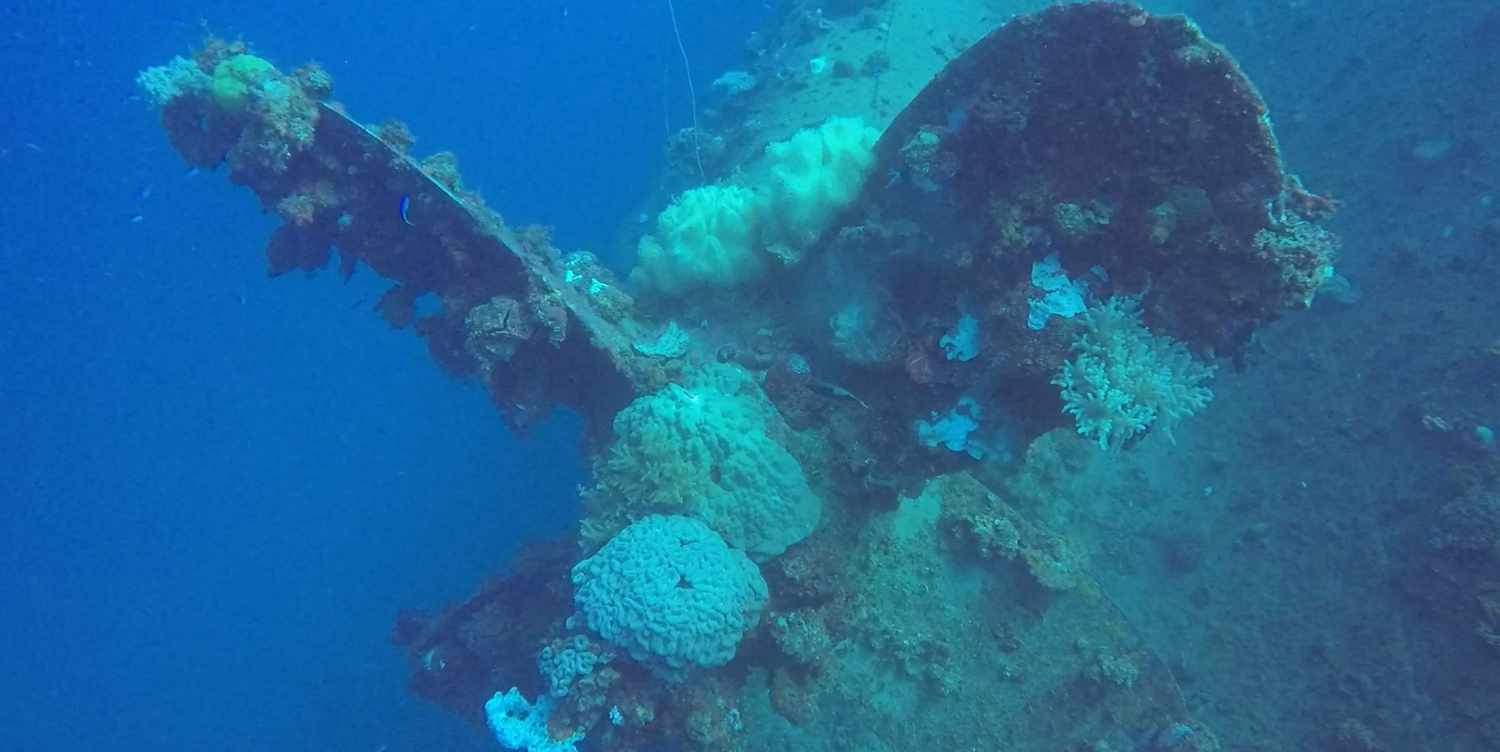 The propeller of a ship wreck at Truk Lagoon