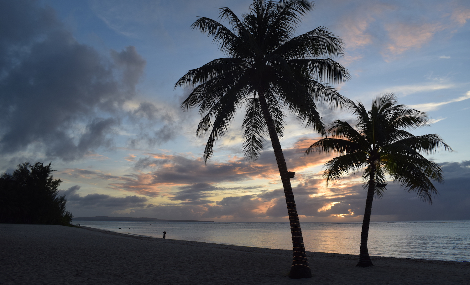 Sunset on beach with palm trees