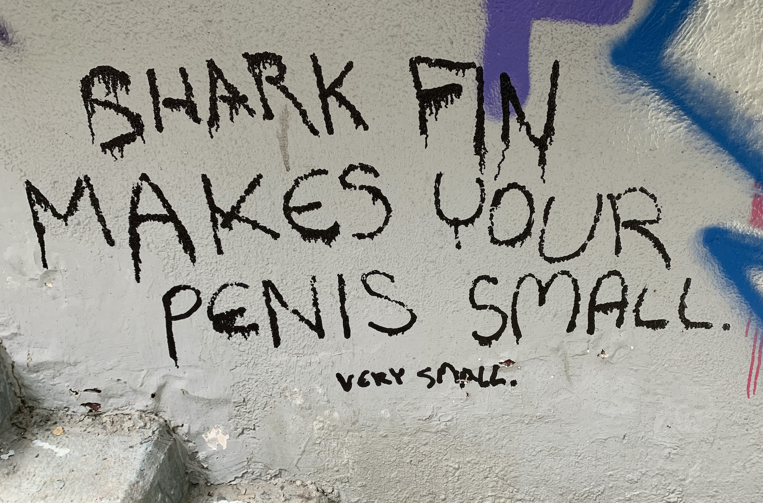 Shark's Fin Graffiti