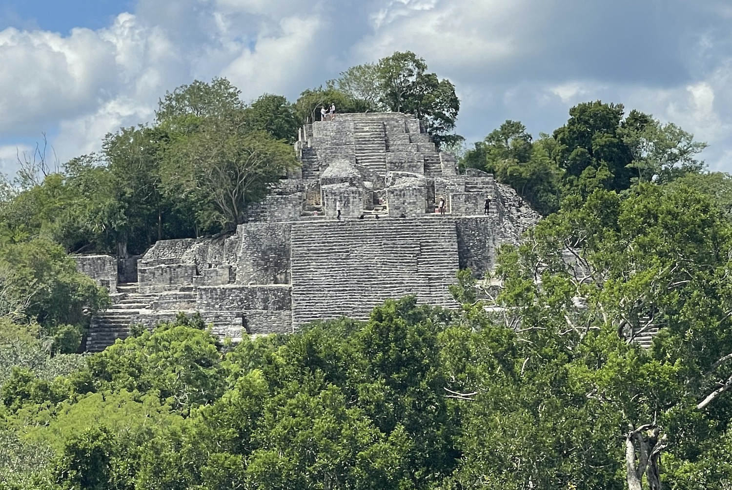 Calakmul Wide View