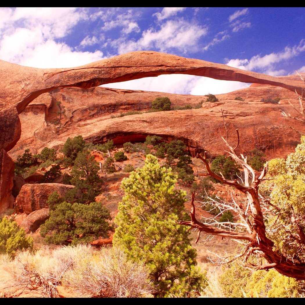 Arches, Utah